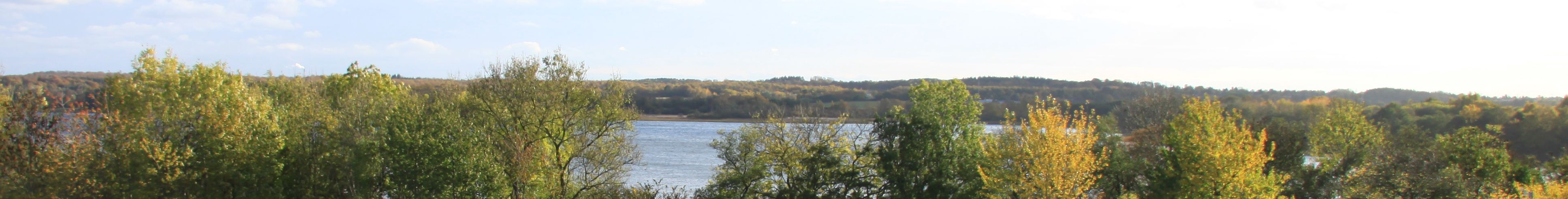 Søndersø og Hareskoven set fra Dalsø Park